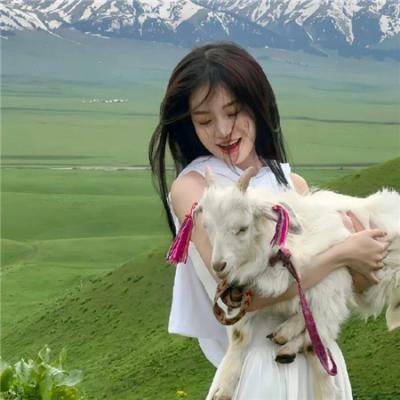 泰山和美人鱼